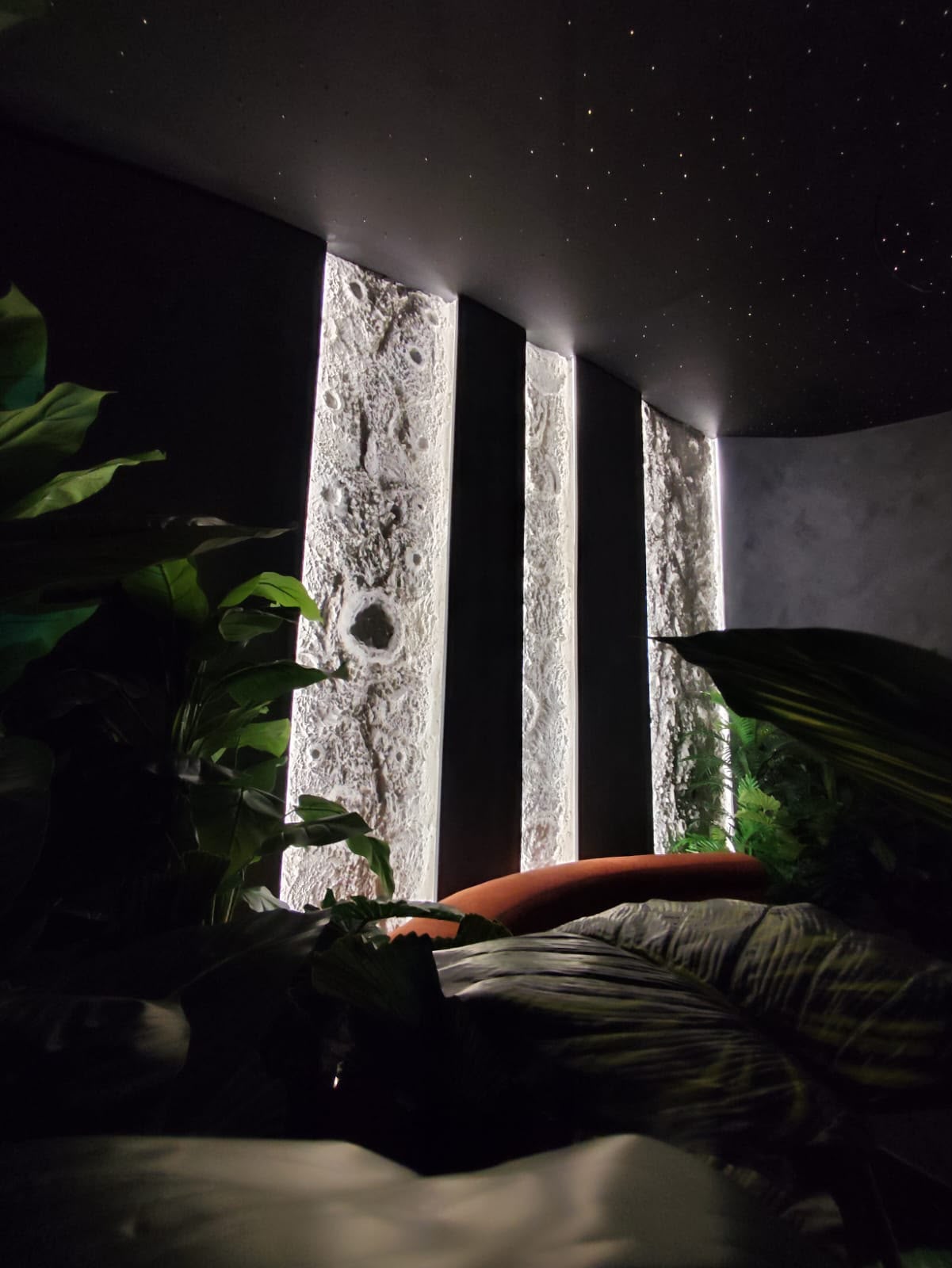 Paneles de roca lunar iluminados y vegetación
